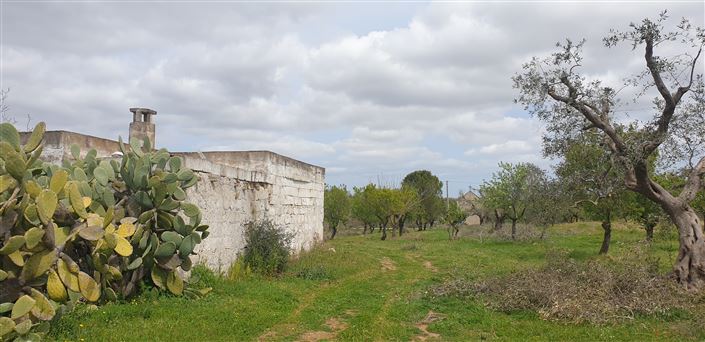 Image No.19-1 Bed Property for sale