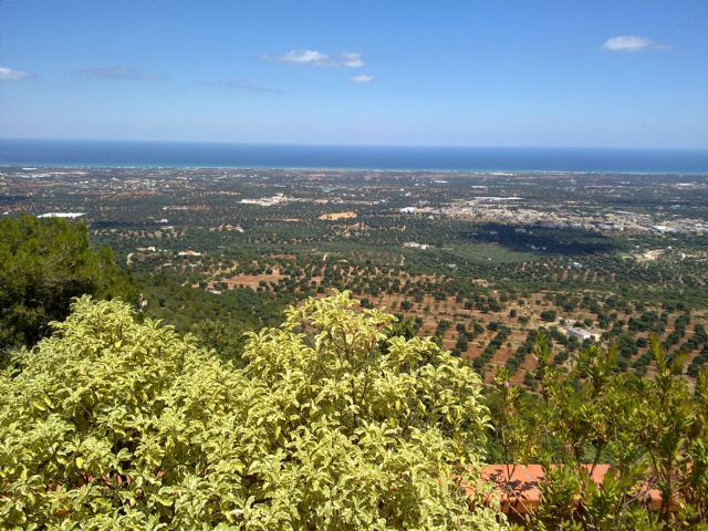 Image No.45-4 Bed Property for sale