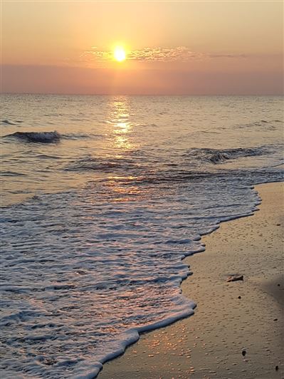 Image No.41-4 Bed Villa for sale