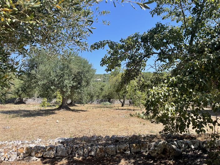 Image No.13-2 Bed Property for sale