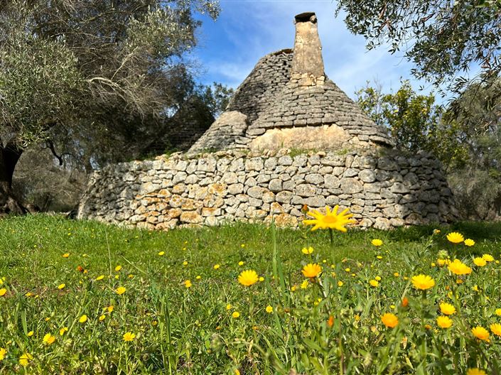 Image No.15-1 Bed Property for sale