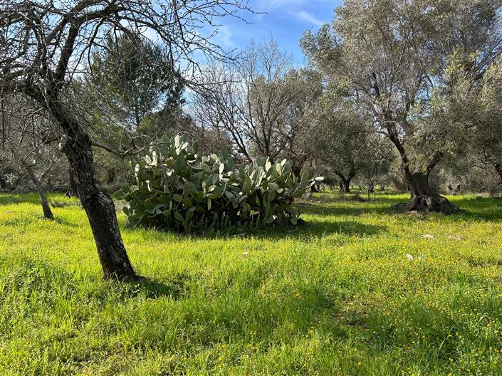 Image No.16-1 Bed Property for sale