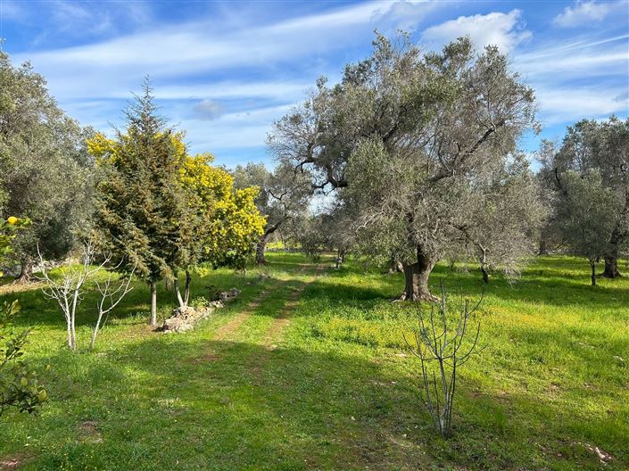 Image No.17-1 Bed Property for sale