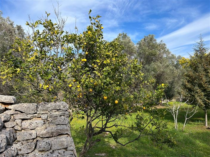 Image No.18-1 Bed Property for sale