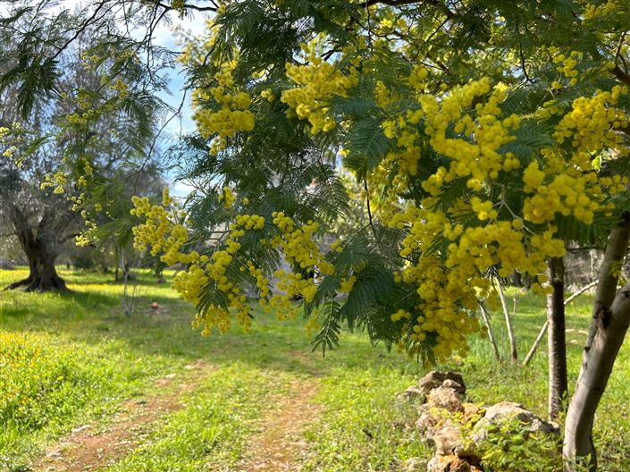 Image No.19-1 Bed Property for sale