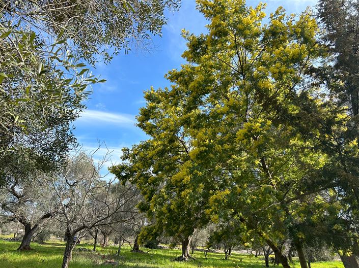 Image No.20-1 Bed Property for sale