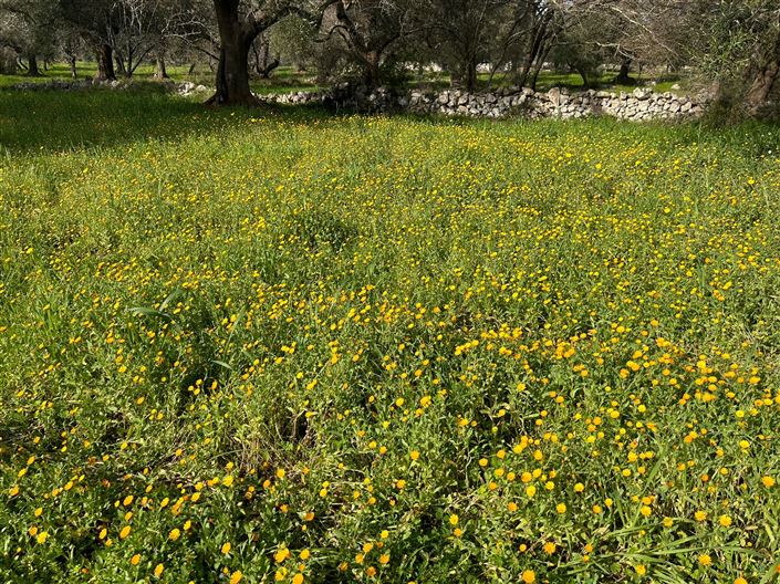 Image No.21-1 Bed Property for sale