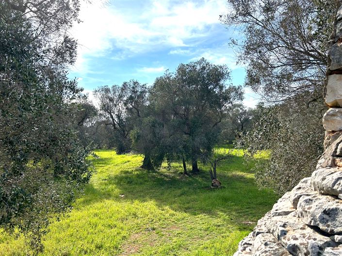 Image No.22-1 Bed Property for sale