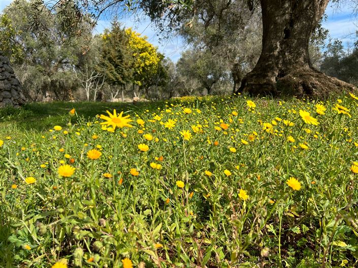 Image No.4-1 Bed Property for sale