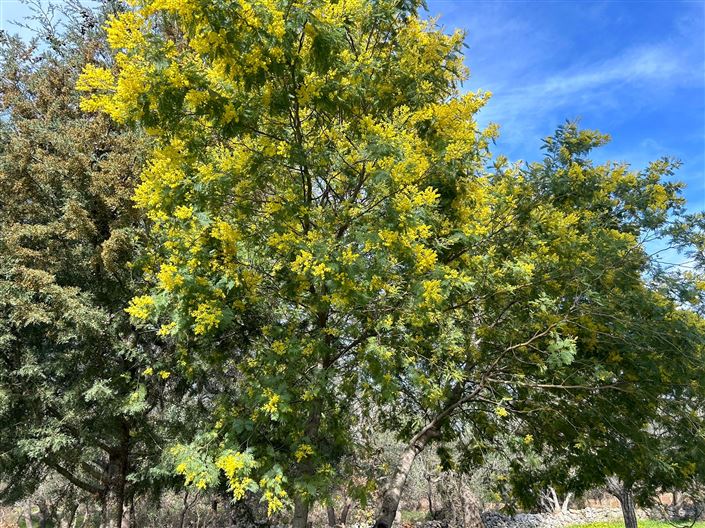 Image No.5-1 Bed Property for sale