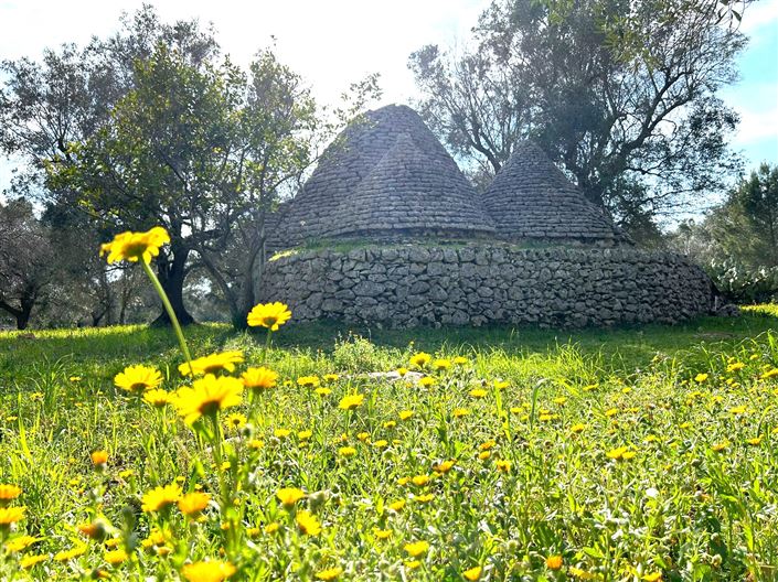 Image No.6-1 Bed Property for sale