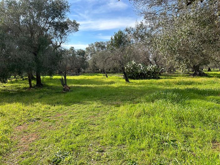 Image No.9-1 Bed Property for sale