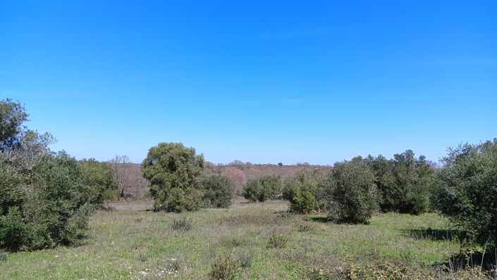 Image No.33-7 Bed Property for sale