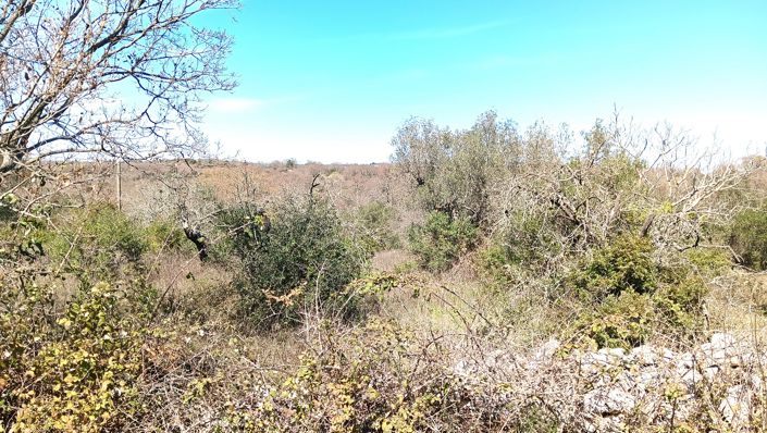 Image No.34-7 Bed Property for sale