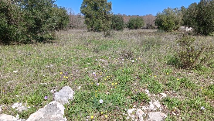 Image No.36-7 Bed Property for sale