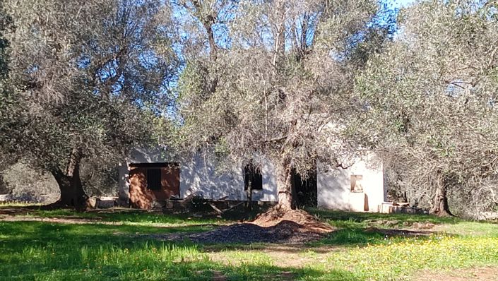 Image No.3-2 Bed Property for sale