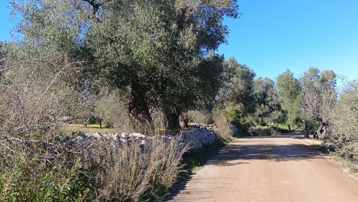 Image No.33-2 Bed Property for sale