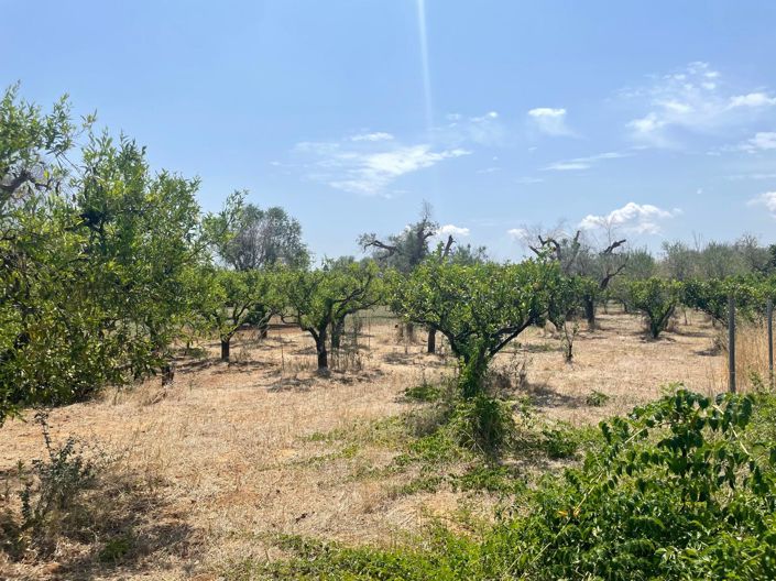 Image No.10-2 Bed Property for sale