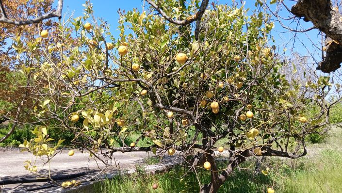 Image No.16-2 Bed Property for sale