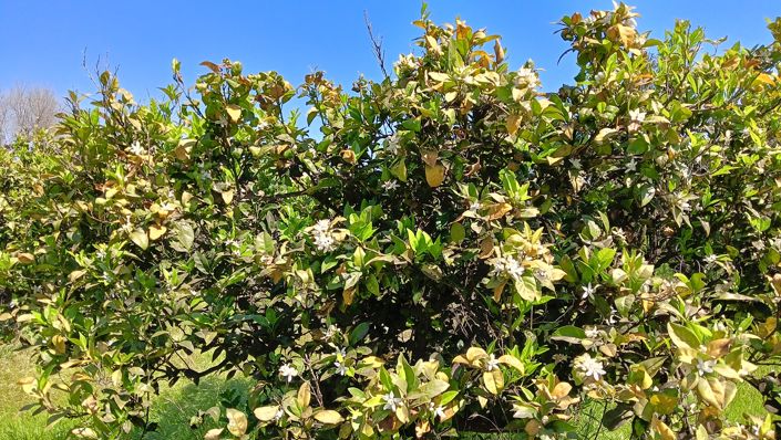 Image No.17-2 Bed Property for sale