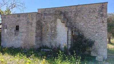 img20240413103415
