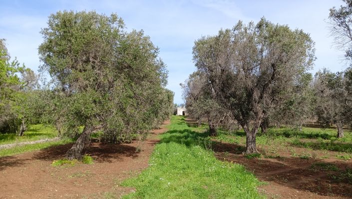 Image No.7-1 Bed Property for sale