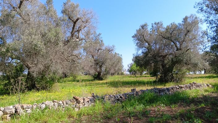 Image No.23-1 Bed Property for sale