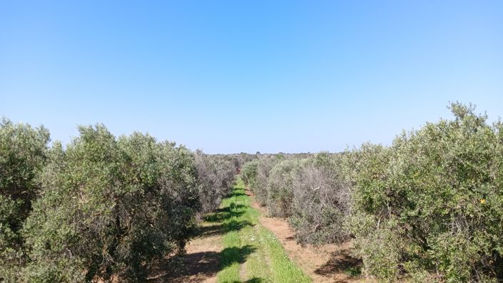 Image No.25-1 Bed Property for sale