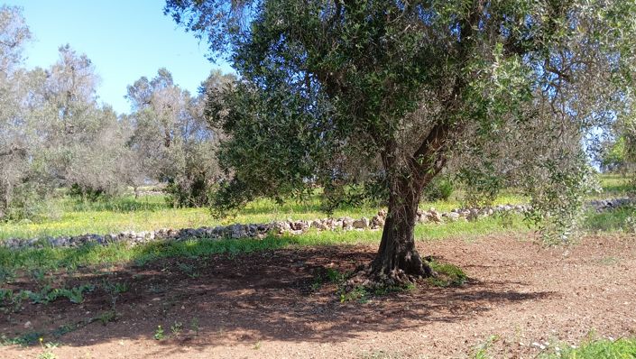 Image No.26-1 Bed Property for sale