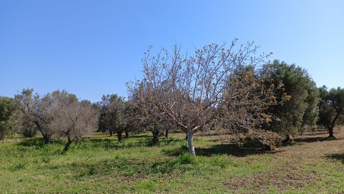 Image No.27-1 Bed Property for sale