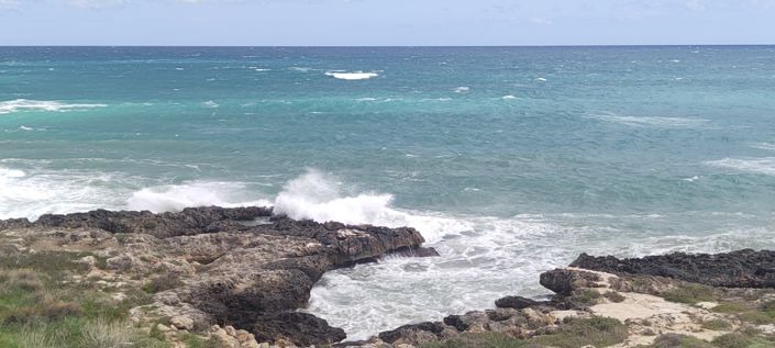 Image No.43-1 Bed Property for sale