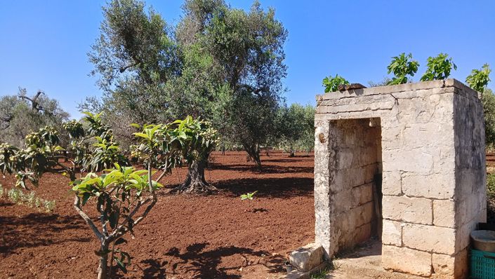 Image No.12-1 Bed Property for sale