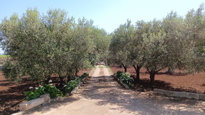 Image No.19-1 Bed Property for sale