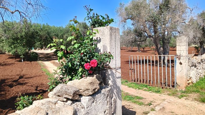 Image No.2-1 Bed Property for sale