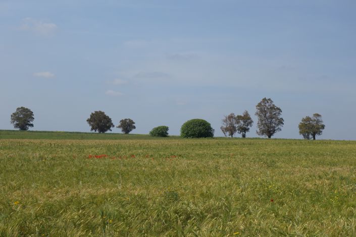 Image No.26-1 Bed Property for sale