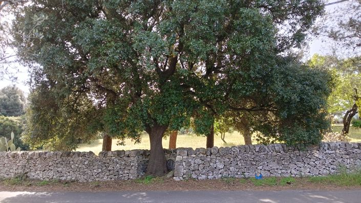 Image No.15-5 Bed Property for sale