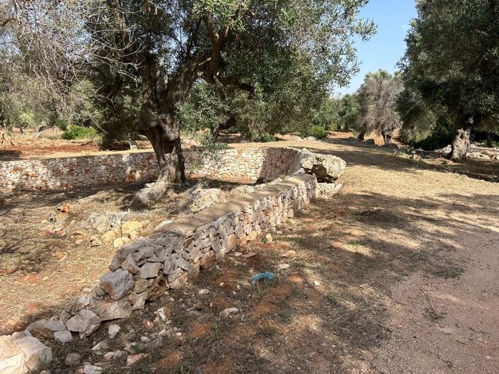 Image No.10-10 Bed Masseria for sale