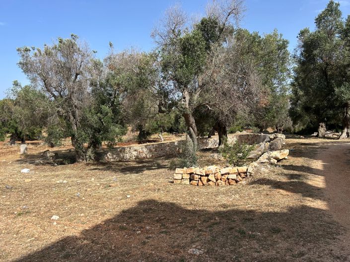 Image No.9-10 Bed Masseria for sale