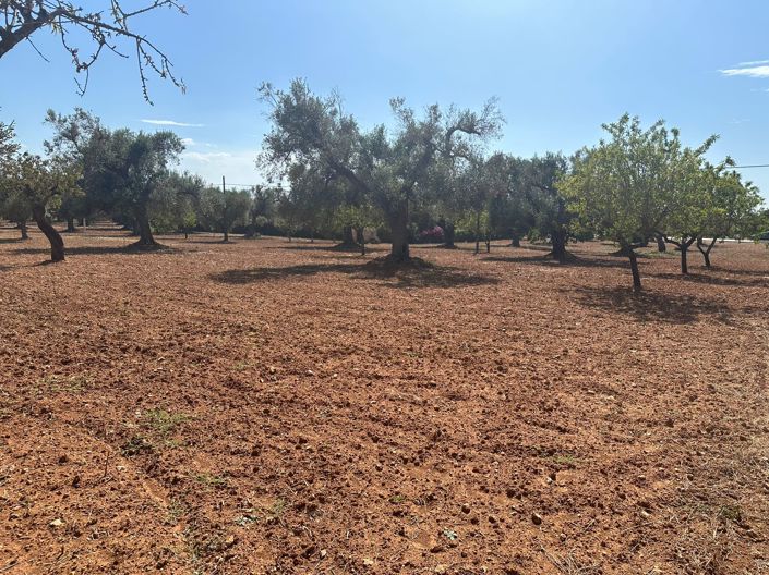 Image No.14-2 Bed Property for sale