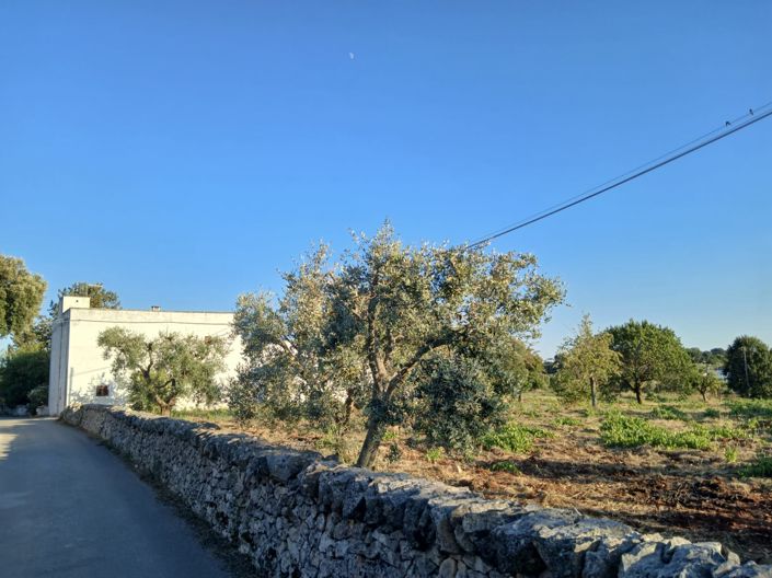 Image No.5-6 Bed Property for sale