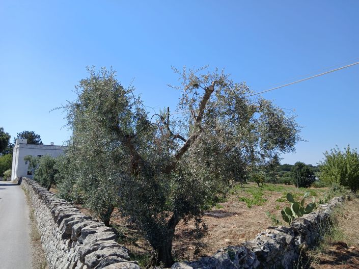 Image No.7-6 Bed Property for sale