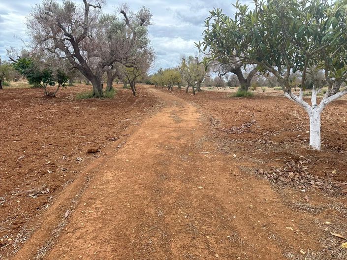 Image No.7-1 Bed Property for sale