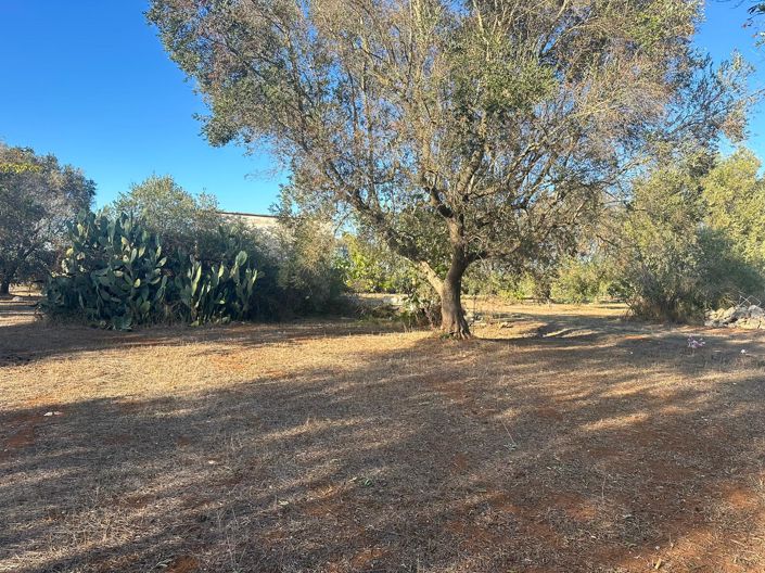 Image No.8-1 Bed Property for sale