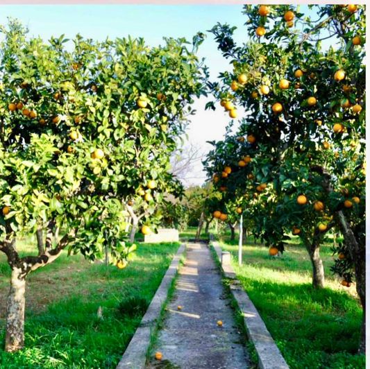 Image No.32-7 Bed Property for sale