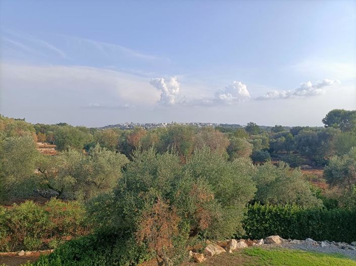 Image No.22-4 Bed Property for sale