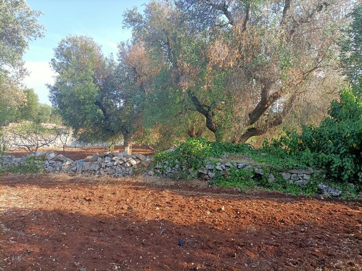 Image No.24-4 Bed Property for sale