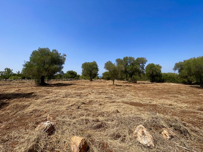 Image No.7-3 Bed Property for sale