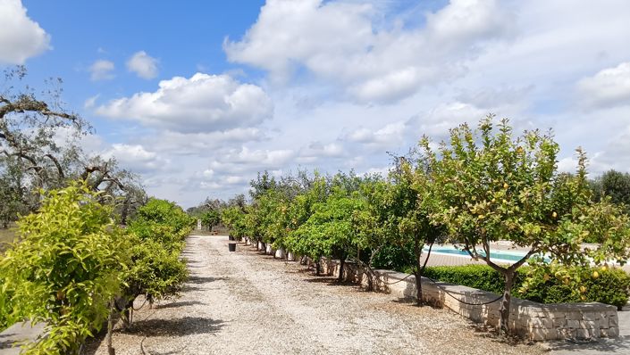 Image No.44-6 Bed Property for sale