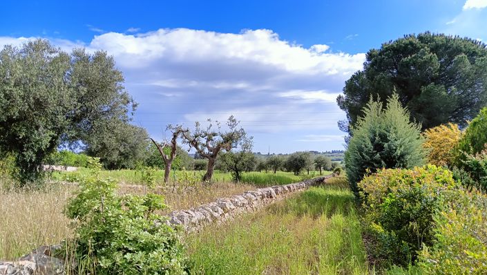 Image No.22-3 Bed Property for sale