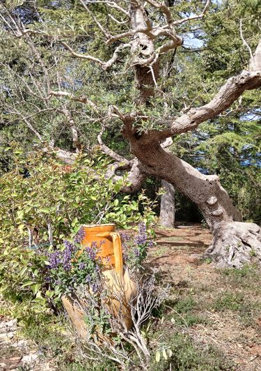 Image No.28-3 Bed Property for sale